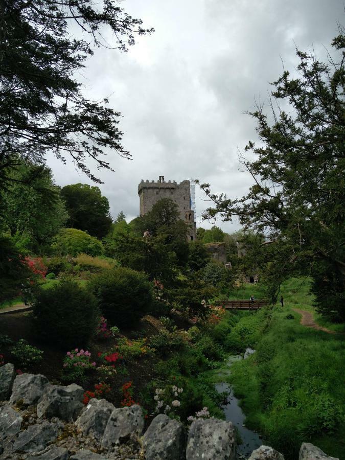 Foxhollow House Blarney Eksteriør billede