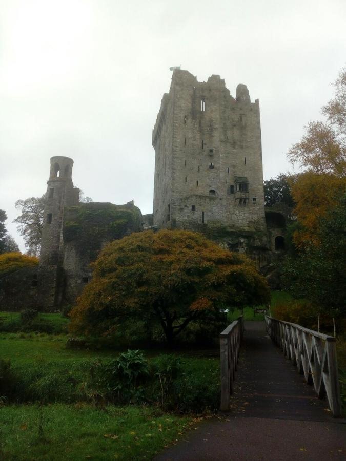 Foxhollow House Blarney Eksteriør billede